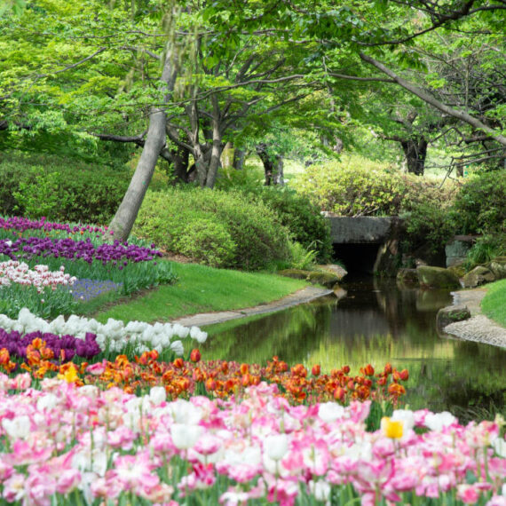 iluminación de jardines: ideas y consejos profesionales para un diseño perfecto